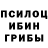 Псилоцибиновые грибы Psilocybe Kind Wuysmel