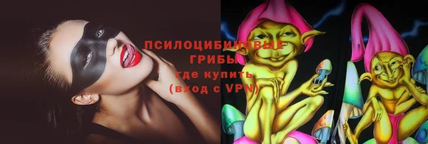 PSILOCYBIN Дедовск