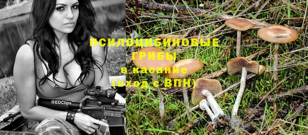 каннабис Пестово