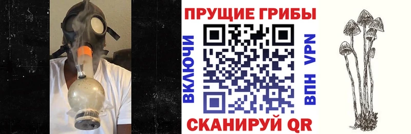 Галлюциногенные грибы ЛСД  Семилуки 