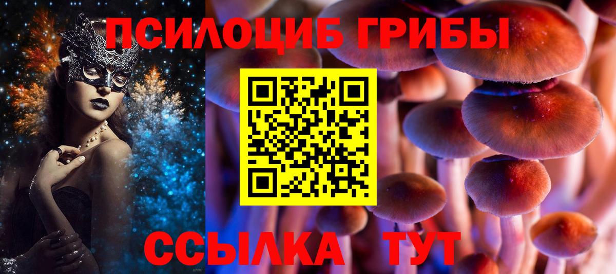 Галлюциногенные грибы Cubensis  Вход с VPN  Галлюциногенные грибы прущие грибы  Семилуки 