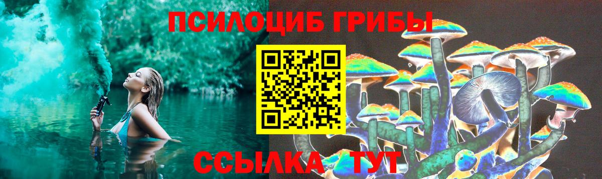 Галлюциногенные грибы мицелий  Семилуки  Галлюциногенные грибы мицелий 