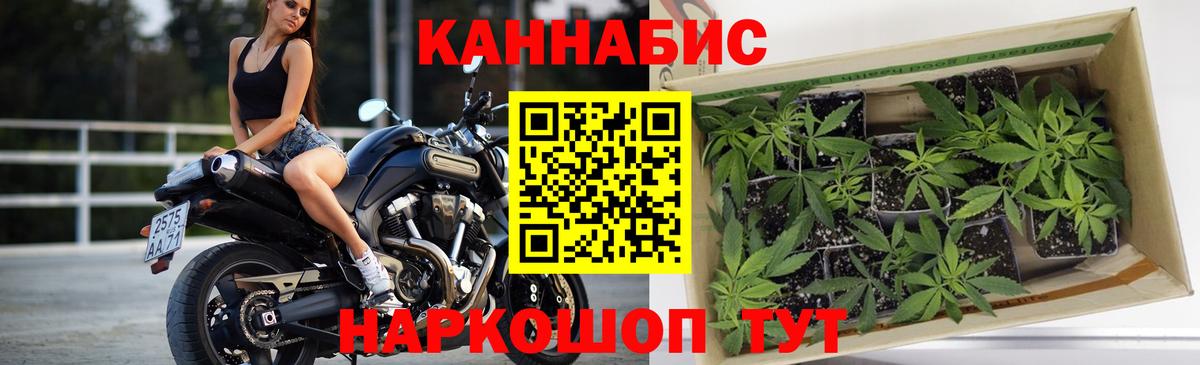 Каннабис OG Kush Семилуки